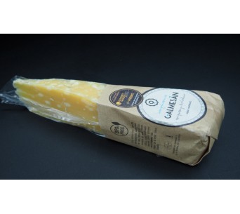 queso galmesan
